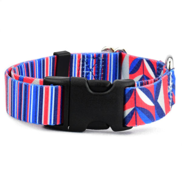 Rocky Dog Collar – EarthStyle Dog Collar 2 Hounds Design