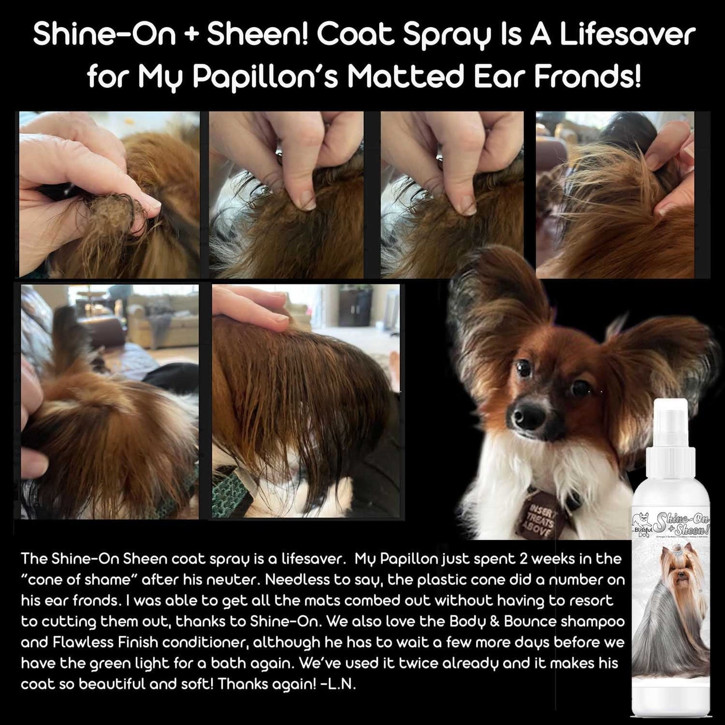 Shine-On+Sheen Dog De-Tangling Coat Spray SPRAY The Blissful Dog