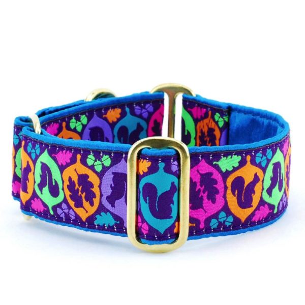 Squirrel! – Exclusive Martingale Dog Collar 2 Hounds Design