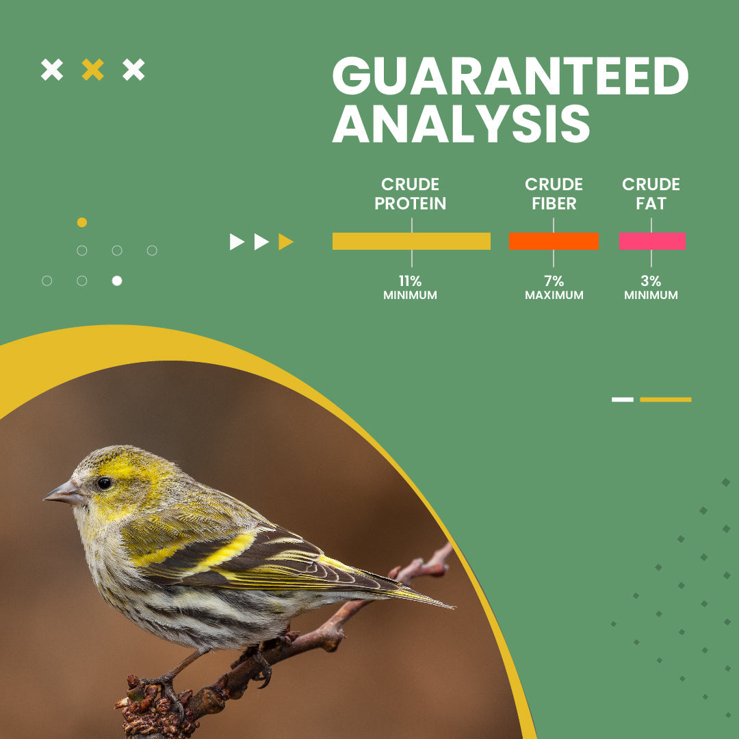 Organic Hulled Millet - 5 lbs. Animals & Pet Supplies Bird Street Bistro