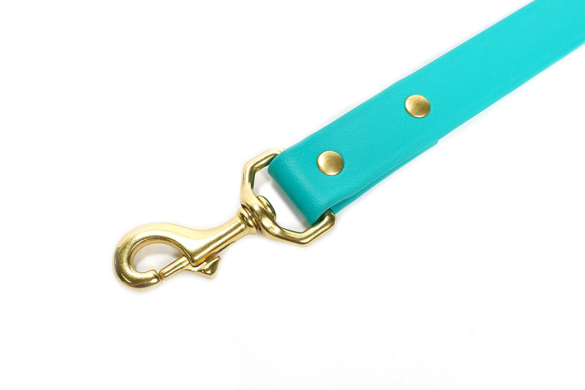 Sporting Dog Leash - Teal Dog Supplies Pointer Traditions