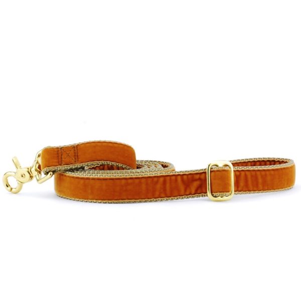 Antique Gold Velvet Dog Leash 2 Hounds Design