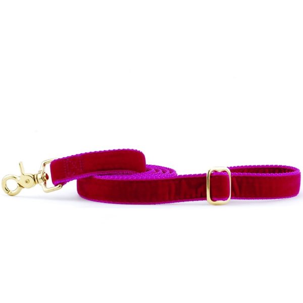 Raspberry Velvet Dog Leash 2 Hounds Design