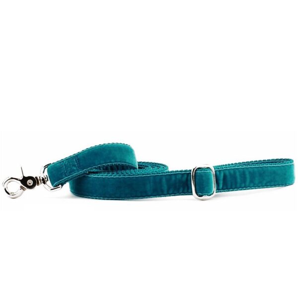Teal Velvet Dog Leash 2 Hounds Design