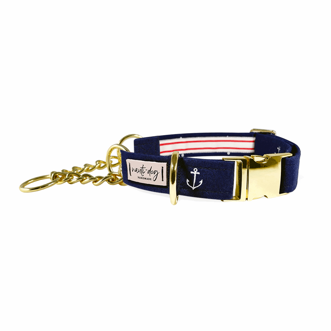 Anchors Away Nautical Buckle & Martingale Dog Collar Dog Collars Nauti-dog Handmade