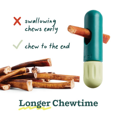 The BullySafe by Woof Woof Pet