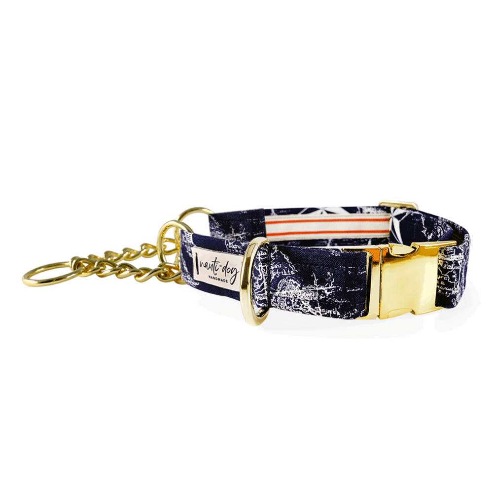 Carta Marina Navy Vintage Nautical Toile Buckle & Martingale Dog Collar Dog Collars Nauti-dog Handmade