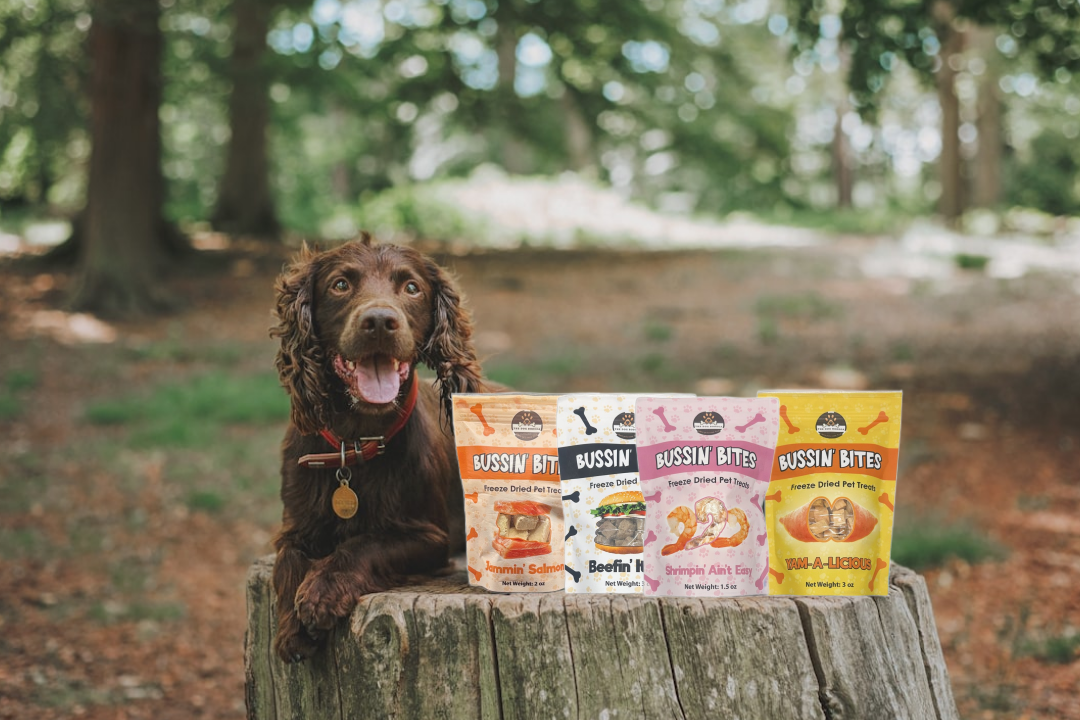 Single Ingredient, High Value Freeze-Dried Training Treats for Dogs & Cats - Shrimp The Dog Bodega