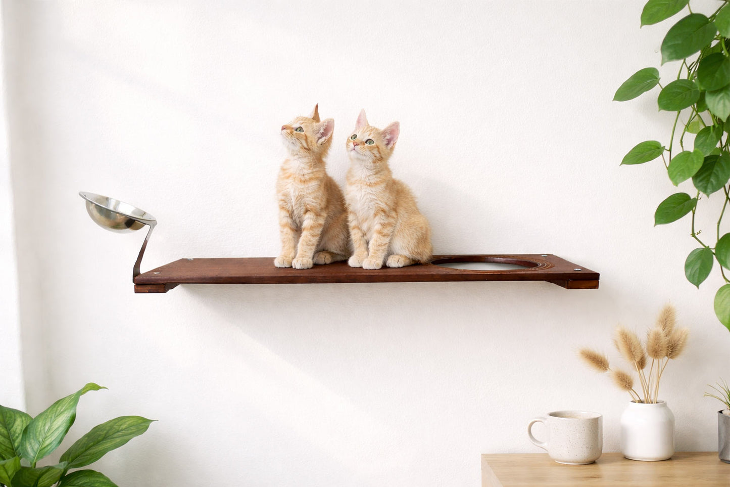 Wall Mounted Cat Feeding Shelf Standard Natural Bamboo 18" Solid Shelf Cat shelves/bed Catastrophic Creations
