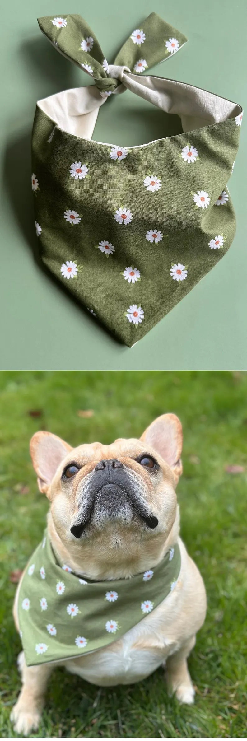 Daisy Dog Bandana Dog Bandana Happy Tails Outfitters