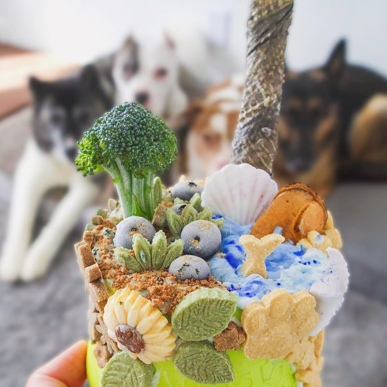 Green Lipped Mussels Naked Beasts