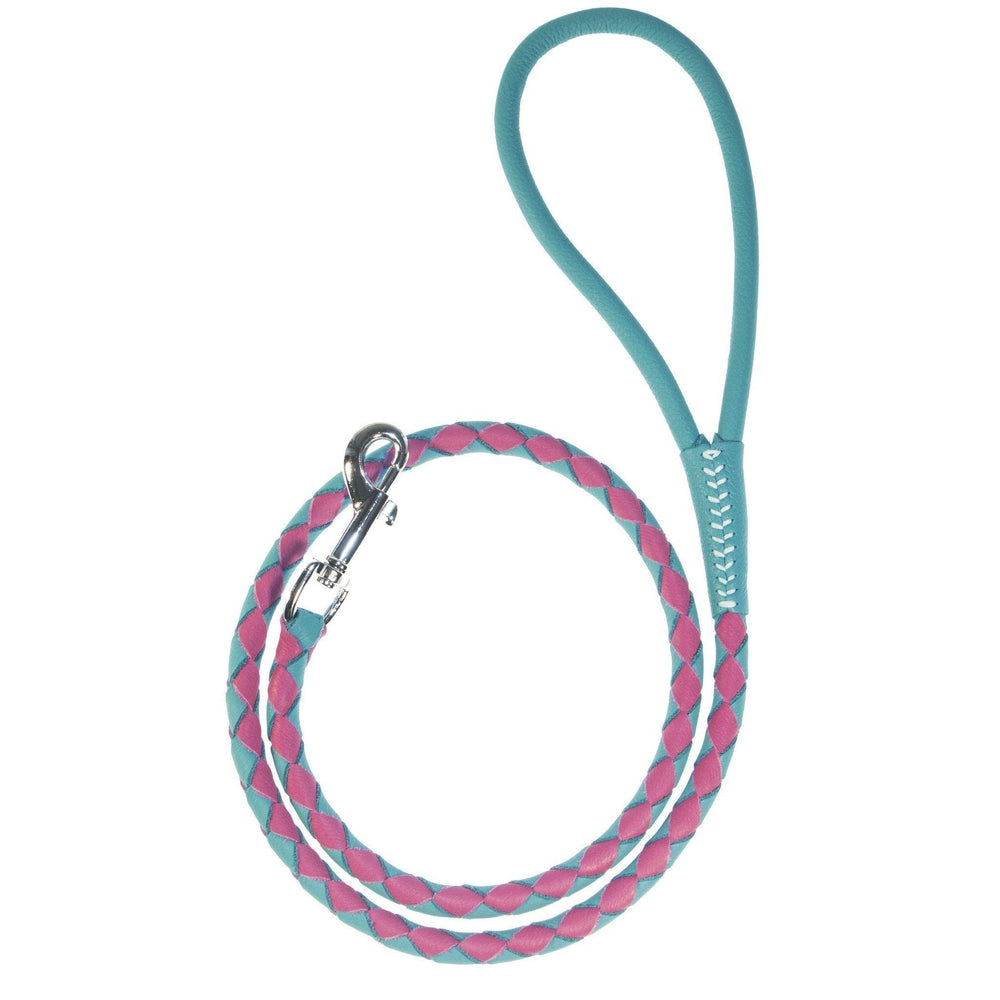 Soft Leather Dual-Color Braided Round Lead Teal Pink Dog Leashes Dogline