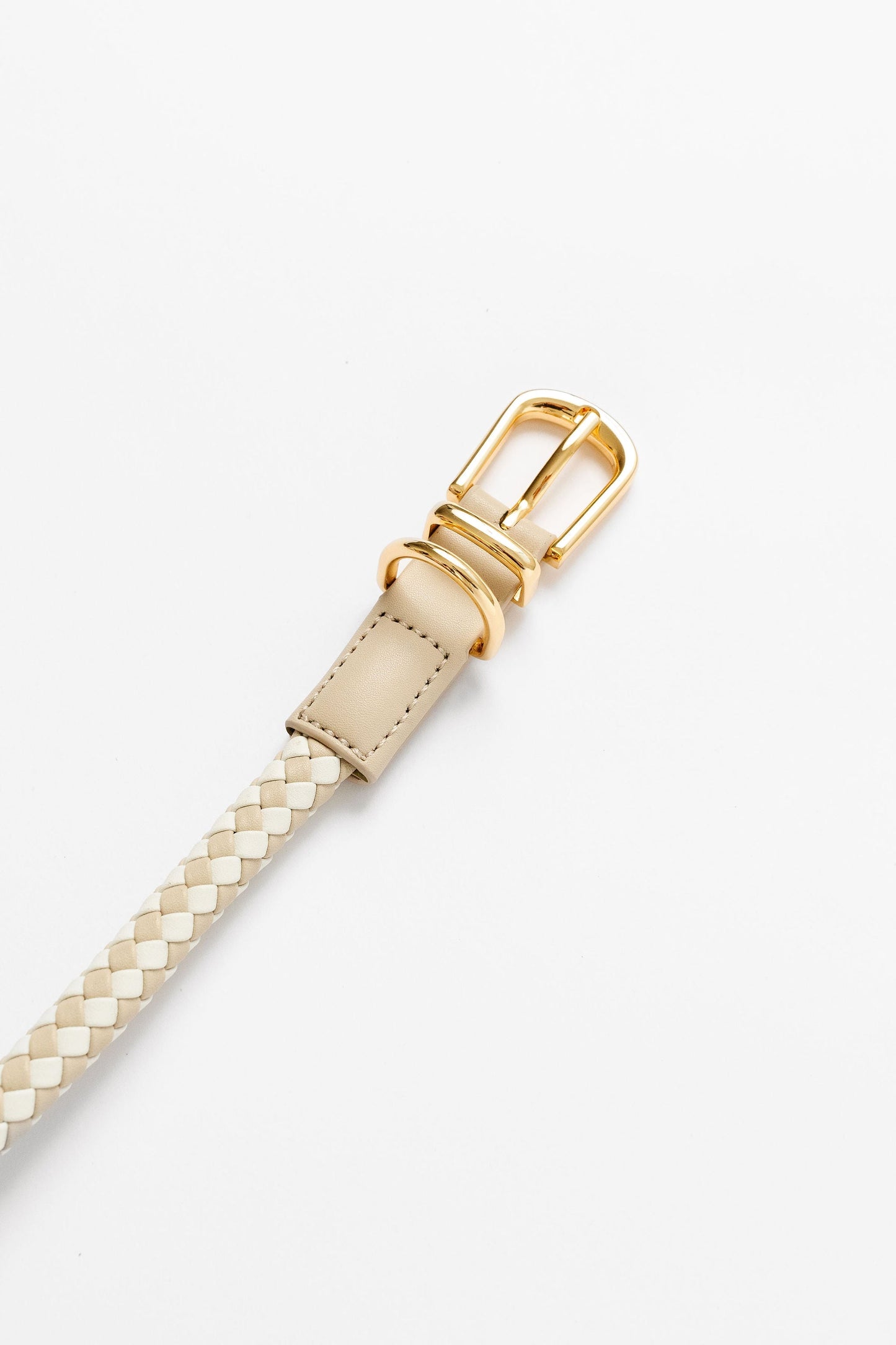 Rolled Collar Pupwell