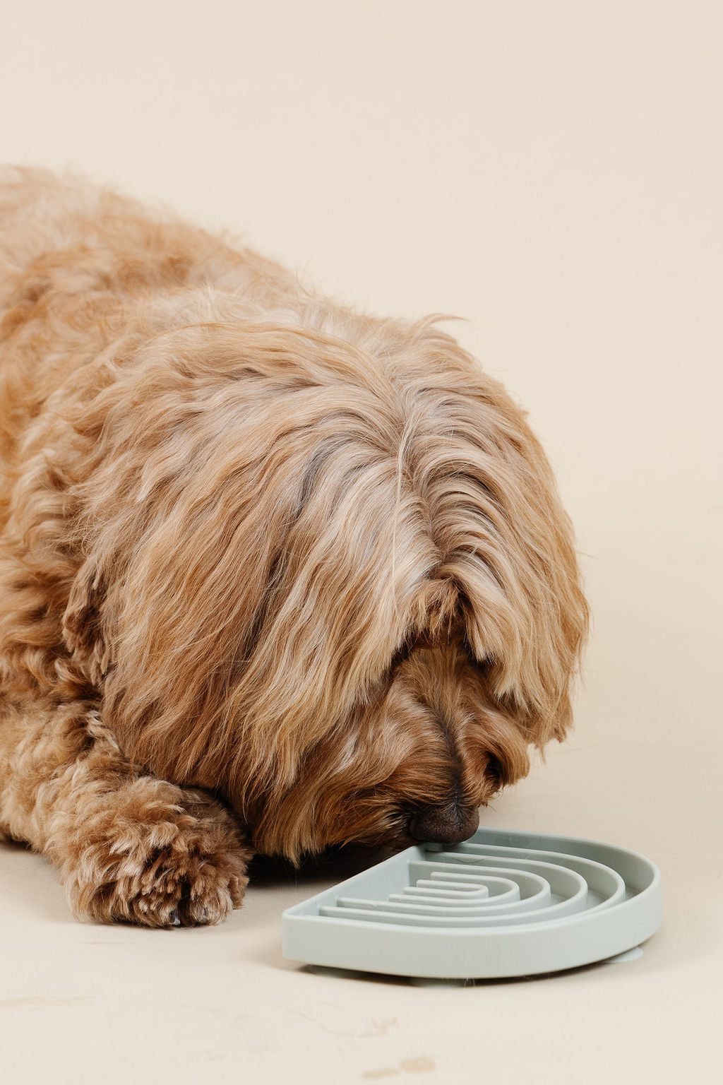 Happy Feelings Lick Mat (wholesale) Dog Supplies Pupwell