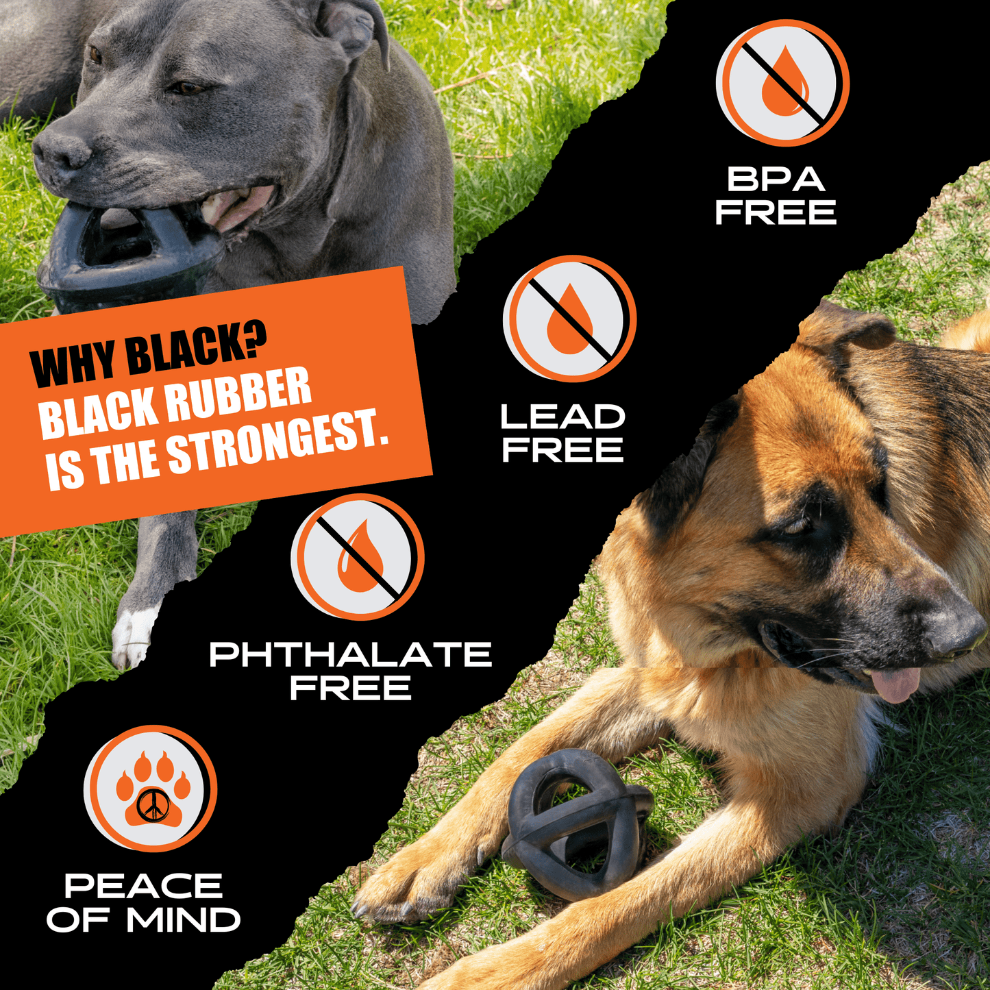 Ring Ball Monster K9 Dog Toys