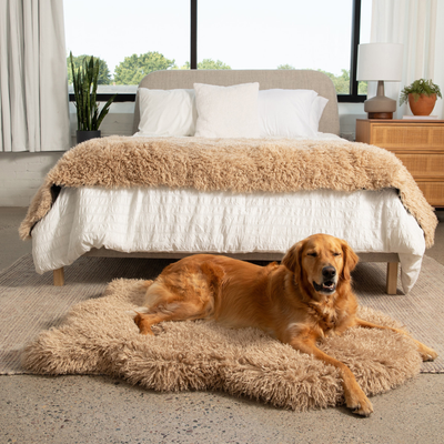 PupRug® Luxe Faux Fur Orthopedic Dog Bed - Plush Sheep Tan Large (50" x 30") Dog Beds Paw