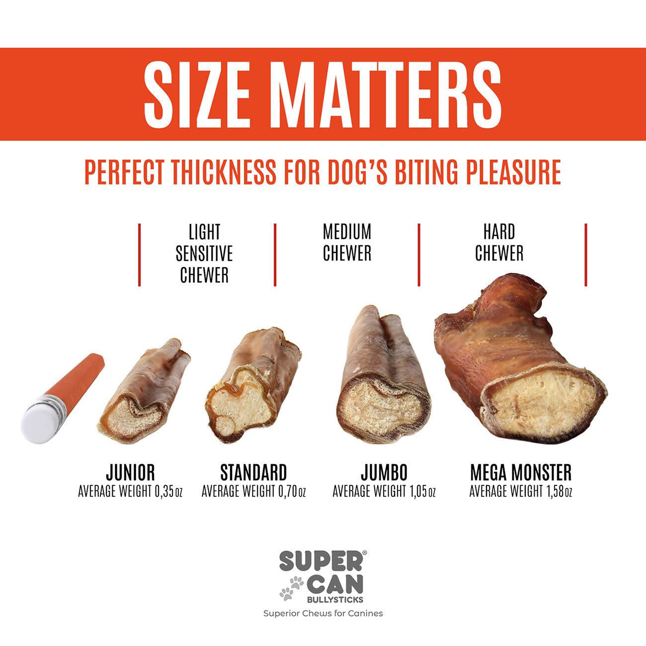 6" Jumbo Bully Sticks (10-Pack) SuperCan Bully Sticks