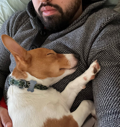 To the future - 2023 and beyond