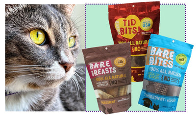 Bare Bites Cat!
