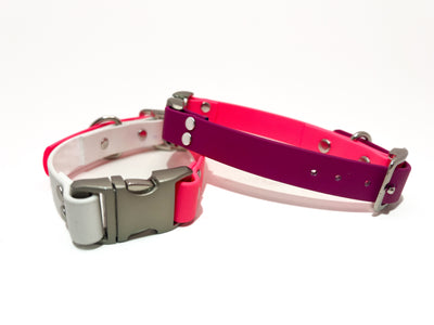 Dog Collars!