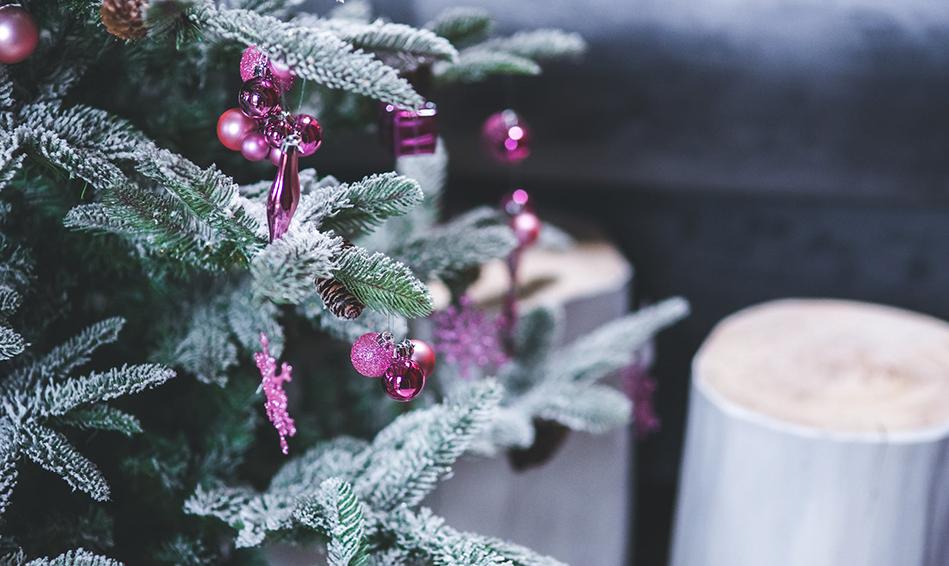 Gift Card Gift Card Dogline