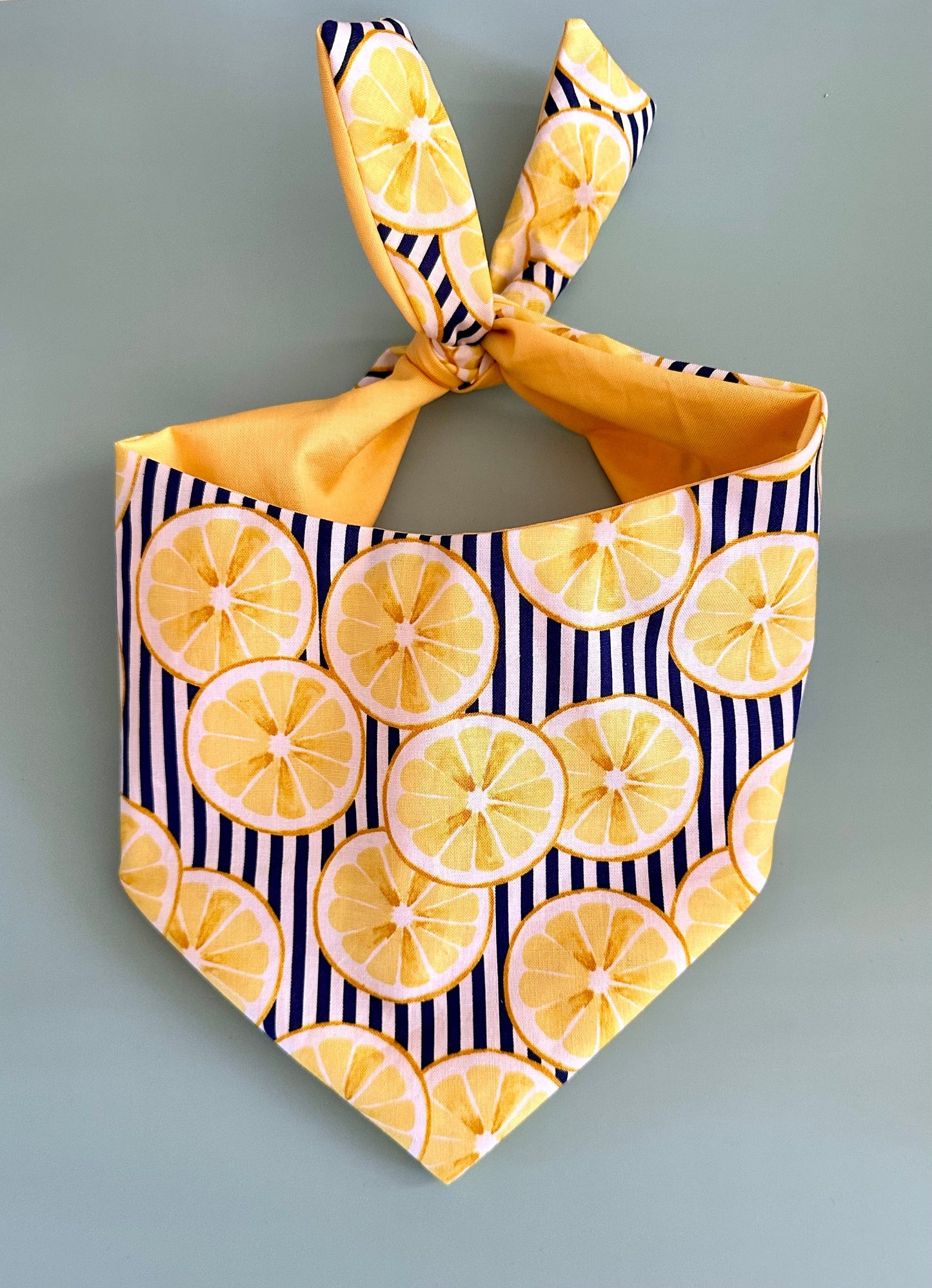 Lemon Dog Bandana Dog Bandana Happy Tails Outfitters