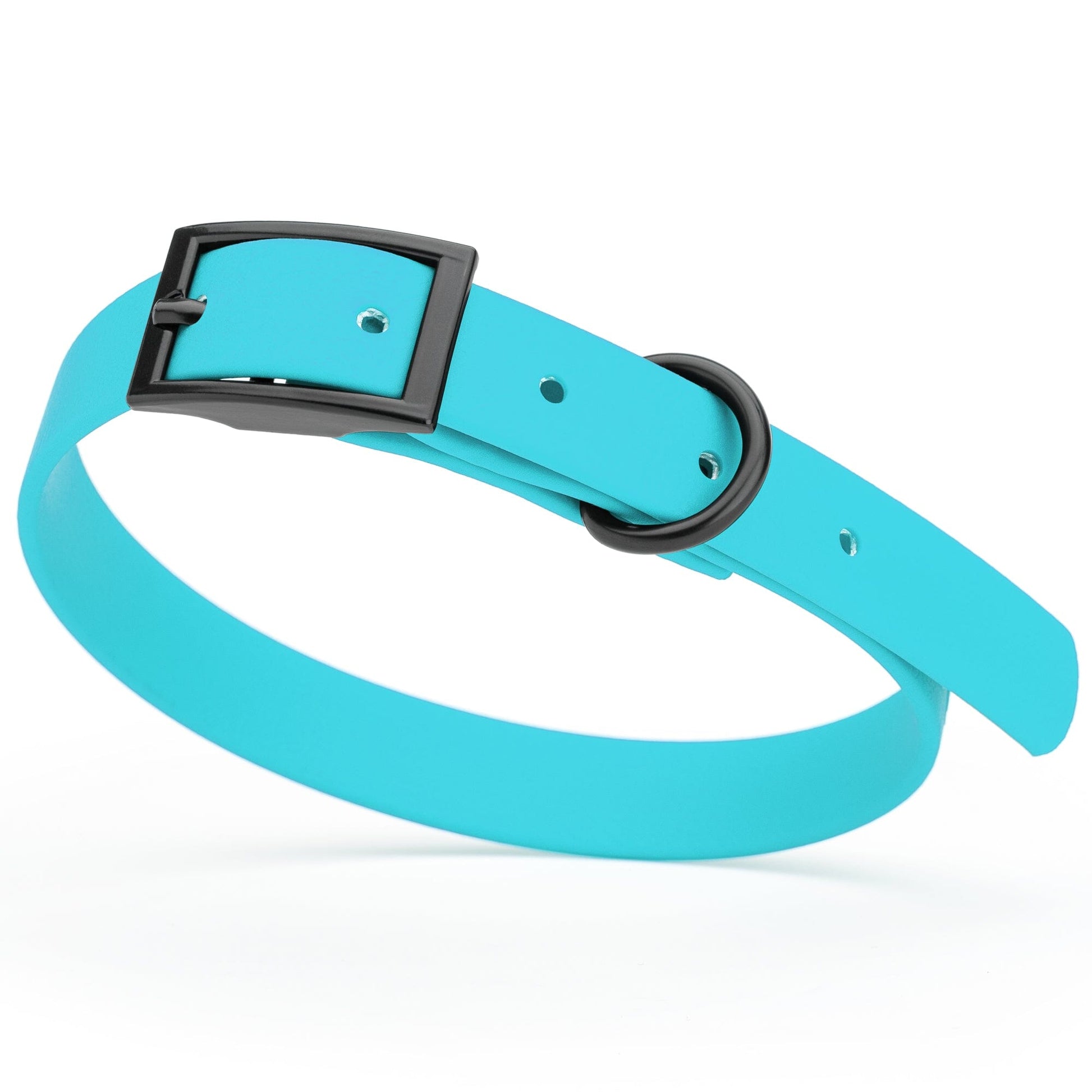 Biothane Waterproof Dog Collar - Small (12 to 15 inches) Sky Blue L 12"-15" x W 5 8" Dog Collar Dogline