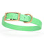 Viper Biothane Waterproof Dog Collar - Brass Hardware - Size M (15" - 18") Sea Foam Green L 15"-18" x W 3 4" Dog Collar Dogline