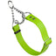 Biothane Adjustable Martingale Collar for Dogs Tropical Green Martingale Dog Collar Dogline