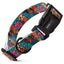 Dogline Biothane Full Color Design Printed Dog Collar with Quick Release Buckle Shaggy Dogs W 3 4" x L 12"-19" Dog Collars Dogline