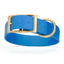 Viper Biothane Waterproof Dog Collar - Brass Hardware - 1.5in Wide - Size XXL (24" - 28") Cerulean Blue L 24"-28" x W 1.5" Dog Collar Dogline