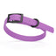 Biothane Waterproof Dog Collar - X-Small (9 to 12 inches) Amethyst Purple L 9"-12" x W 1 2" Dog Collar Dogline