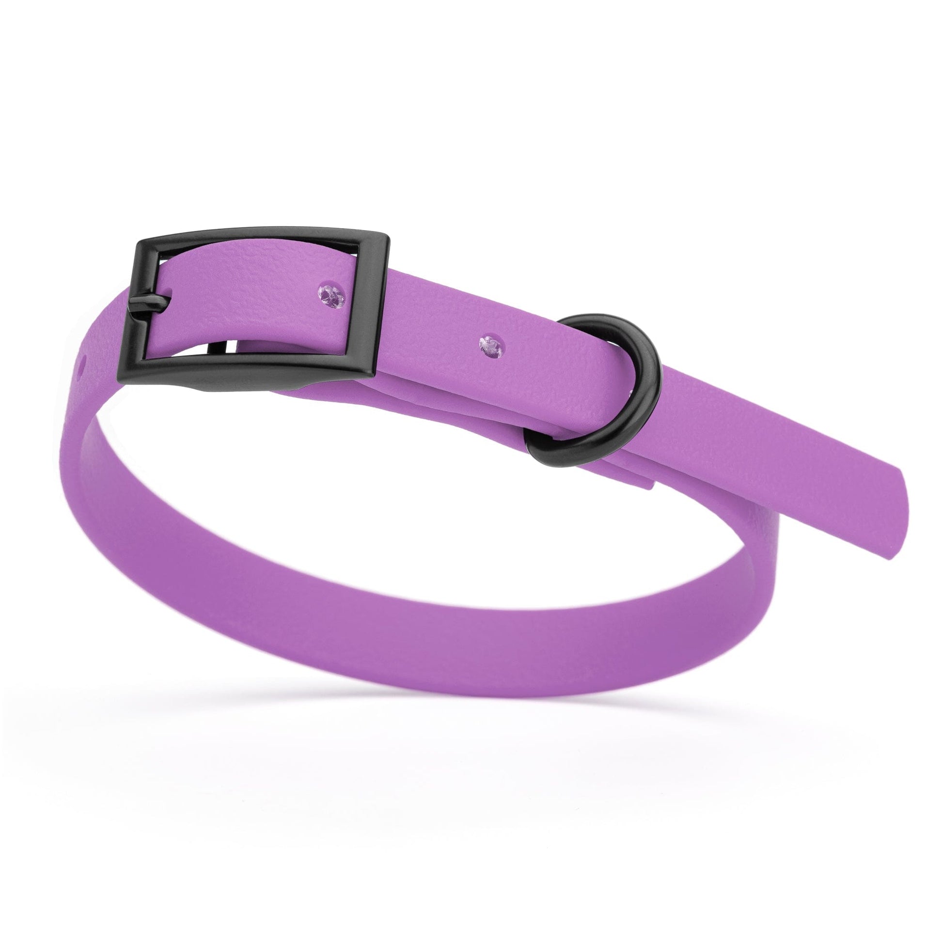 Biothane Waterproof Dog Collar - X-Small (9 to 12 inches) Amethyst Purple L 9"-12" x W 1 2" Dog Collar Dogline