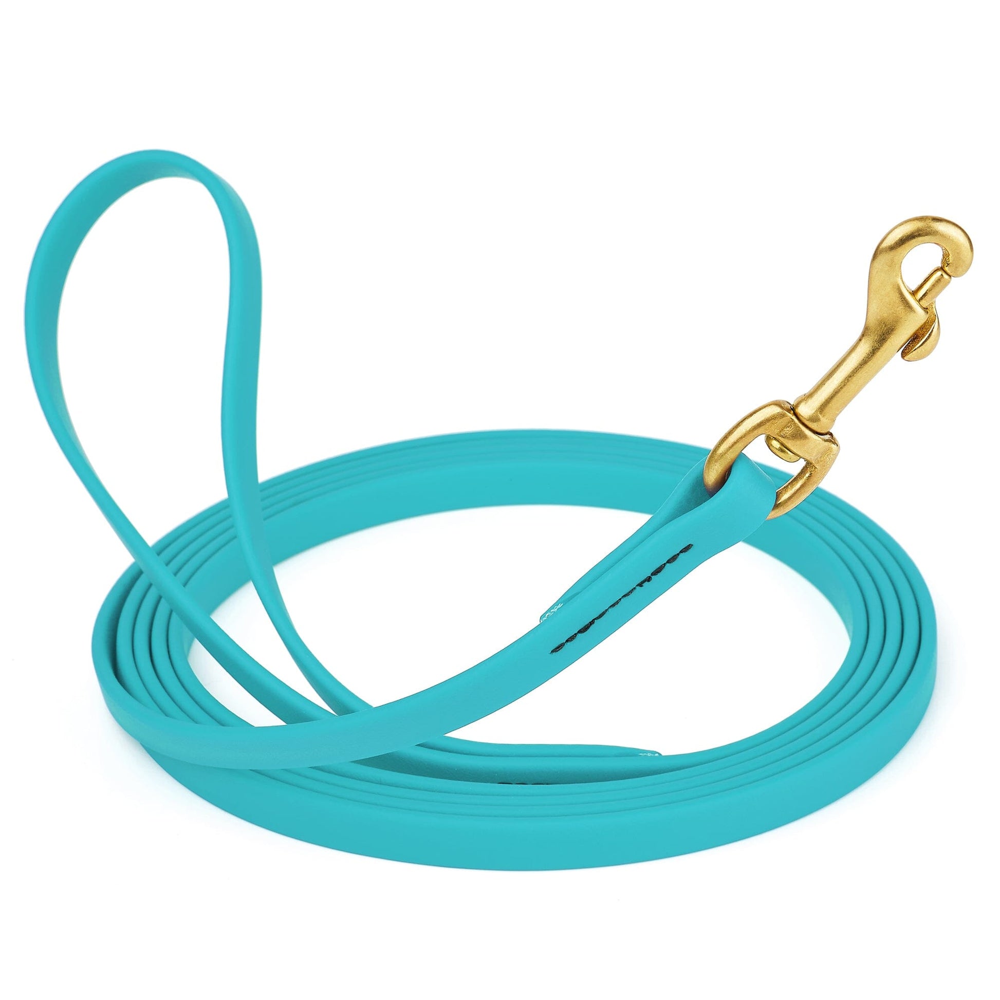 Viper Biothane Long Line 10 ft Lead with Brass Hardware Sky Blue 1 2" Dog Leashes Dogline