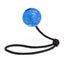Rubber Euro Ball with Rope 2.36" Blue Dog Toys Dogline