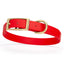 Viper Biothane Waterproof Dog Collar - Brass Hardware - Size M (15" - 18") Cherry Red L 15"-18" x W 3 4" Dog Collar Dogline