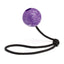 Rubber Euro Ball with Rope 2.36" Purple Dog Toys Dogline