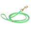 Viper Biothane Long Line 10 ft Lead with Brass Hardware Sea Foam Green 3 8" Dog Leashes Dogline