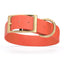 Viper Biothane Waterproof Dog Collar - Brass Hardware - 1.5in Wide - Size L (16" - 20") Coral L 16"-20" x W 1.5" Dog Collar Dogline