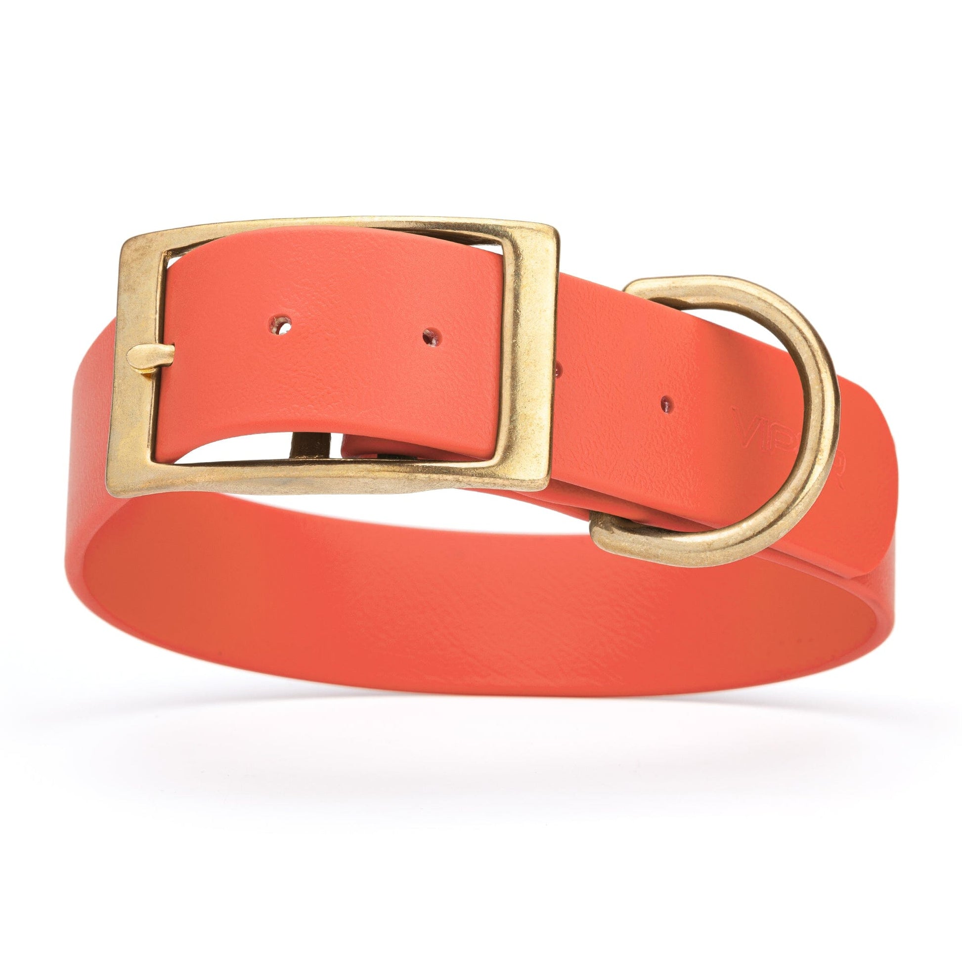 Viper Biothane Waterproof Dog Collar - Brass Hardware - 1.5in Wide - Size L (16" - 20") Coral L 16"-20" x W 1.5" Dog Collar Dogline