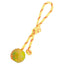 FDT Rubber Dog Ball on Rope, Small - Diameter 2" (5 cm) Solid Dog Toys Dogline