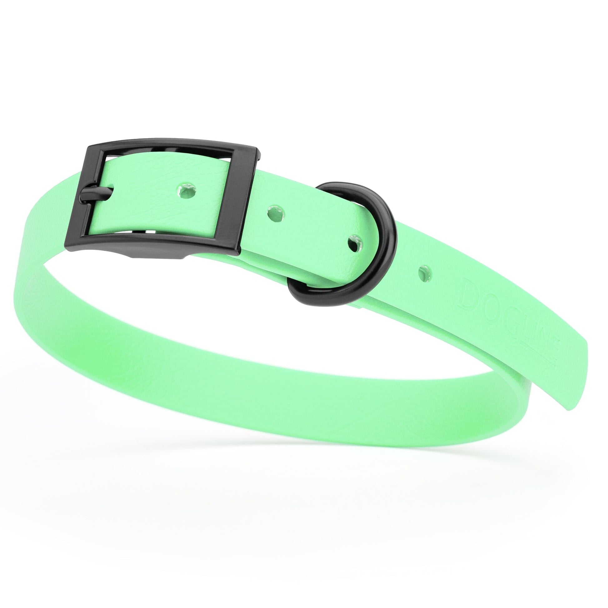 Biothane Waterproof Dog Collar - Medium (15 to 18 inches) Sea Foam Green L 15"-18" x W 3 4" Dog Collar Dogline