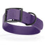 Biothane Waterproof Dog Collar - 1.5in Wide - X-Large (20 to 24 inches) Violet Purple L 20"-24" X W 1.5" Dog Collar Dogline