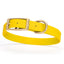 Viper Biothane Waterproof Dog Collar - Brass Hardware - Size M (15" - 18") Lemon Yellow L 15"-18" x W 3 4" Dog Collar Dogline