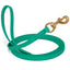 Viper Biothane Long Line 33 ft Lead with Brass Hardware Teal 5 8" Dog Leashes Dogline