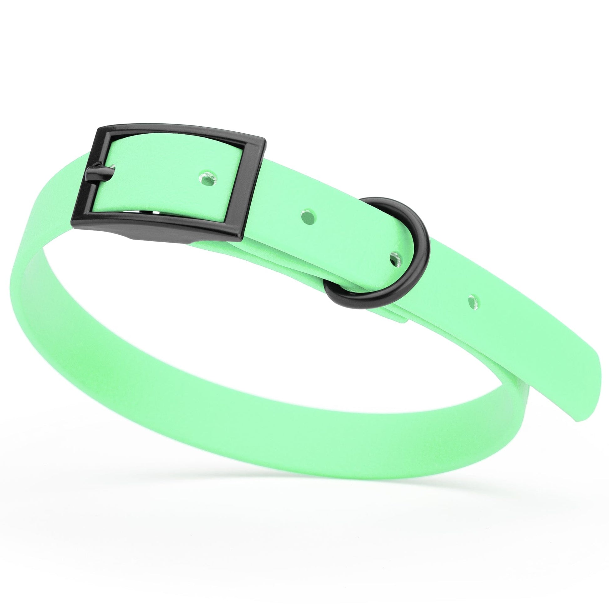 Biothane Waterproof Dog Collar - Small (12 to 15 inches) Sea Foam Green L 12"-15" x W 5 8" Dog Collar Dogline