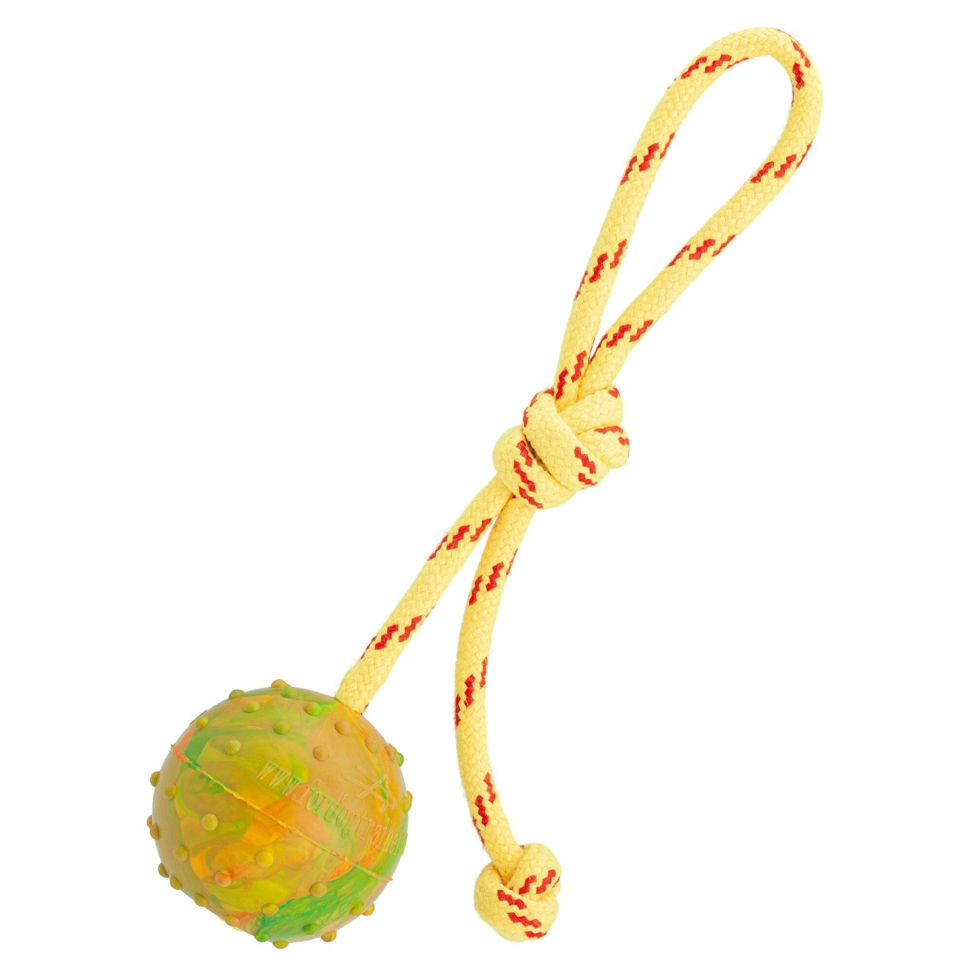 FDT Rubber Dog Ball on Rope, Medium - Diameter 2.3" (6 cm) Solid Dog Toys Dogline
