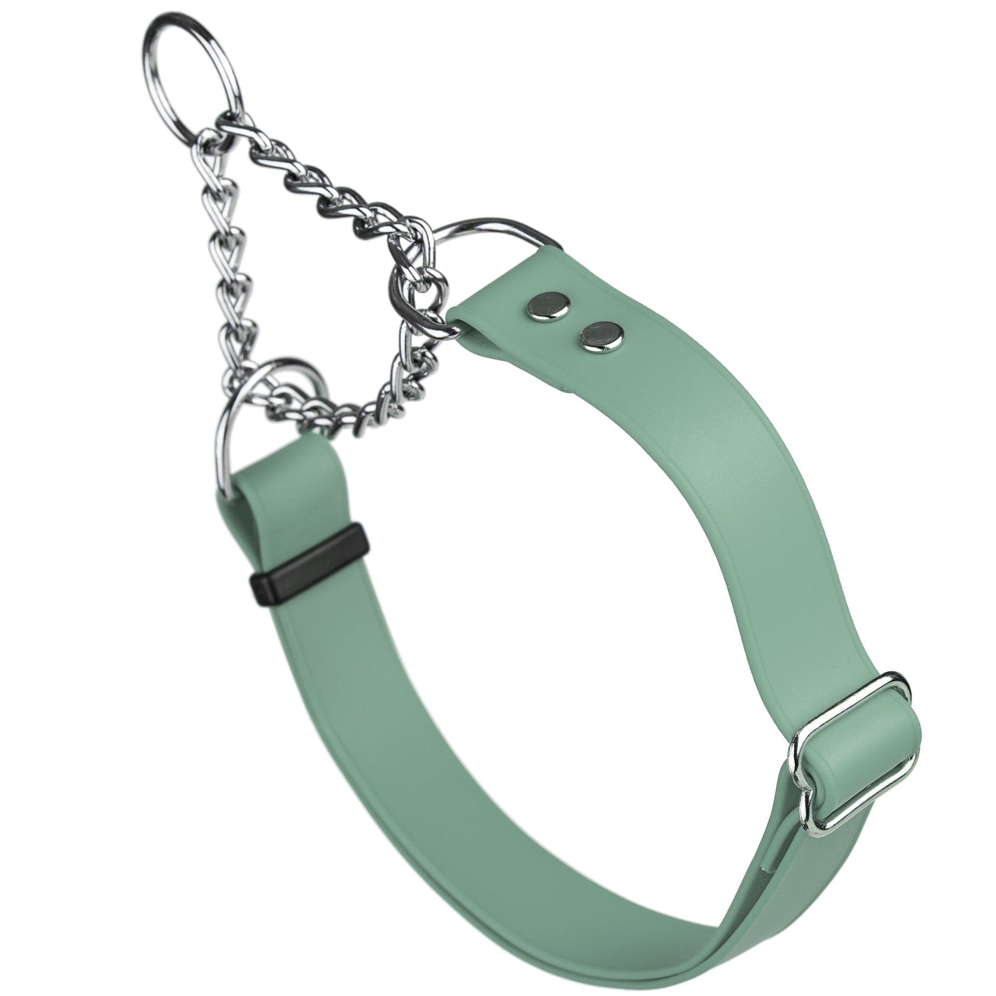 Biothane Adjustable Martingale Collar for Dogs Sage Green Martingale Dog Collar Dogline