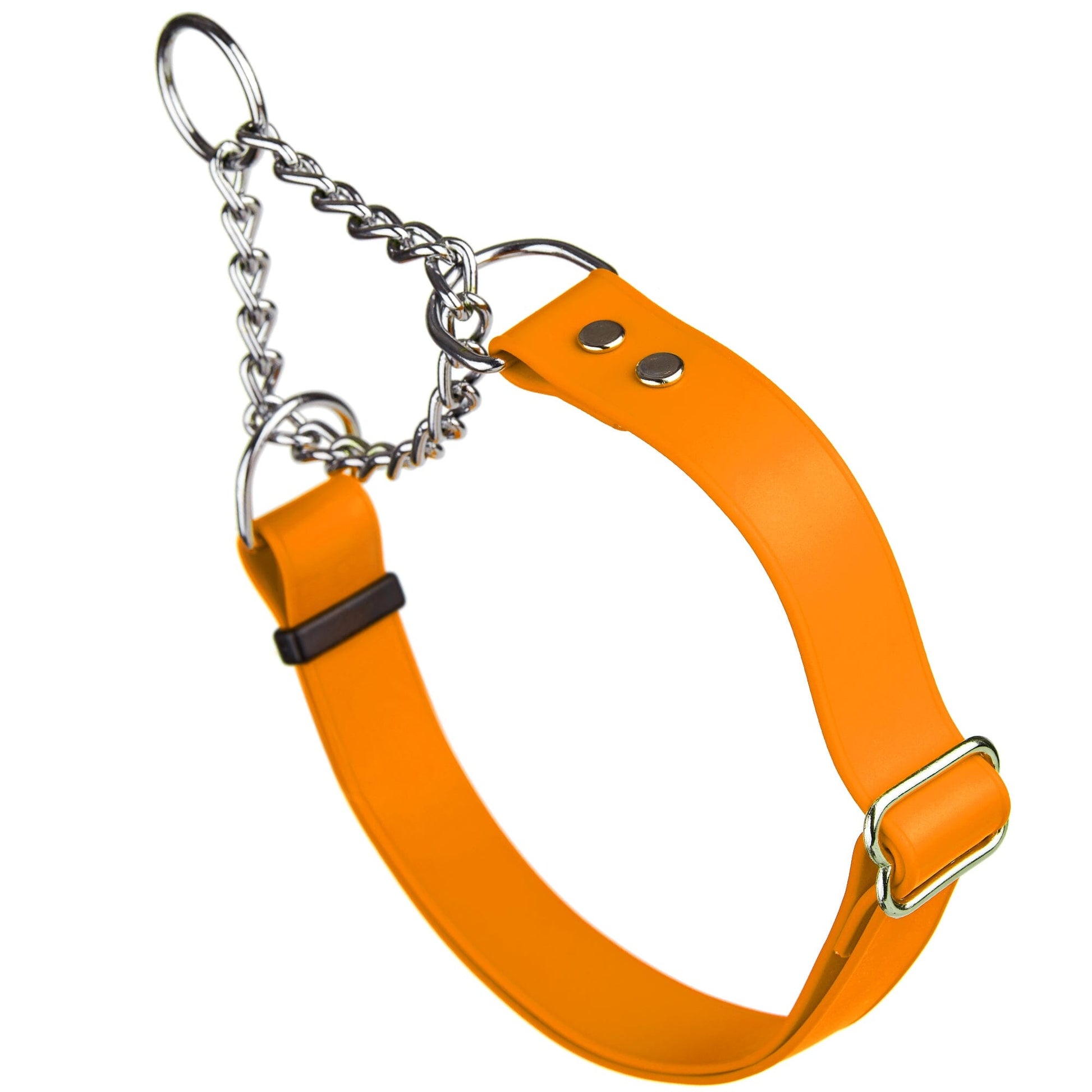 Biothane Adjustable Martingale Collar for Dogs Tangerine Orange Martingale Dog Collar Dogline