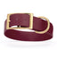 Viper Biothane Waterproof Dog Collar - Brass Hardware - 1.5in Wide - Size L (16" - 20") Merlot Burgundy L 16"-20" x W 1.5" Dog Collar Dogline
